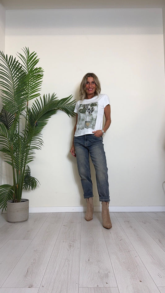 DAFNE - TS100TACUP13