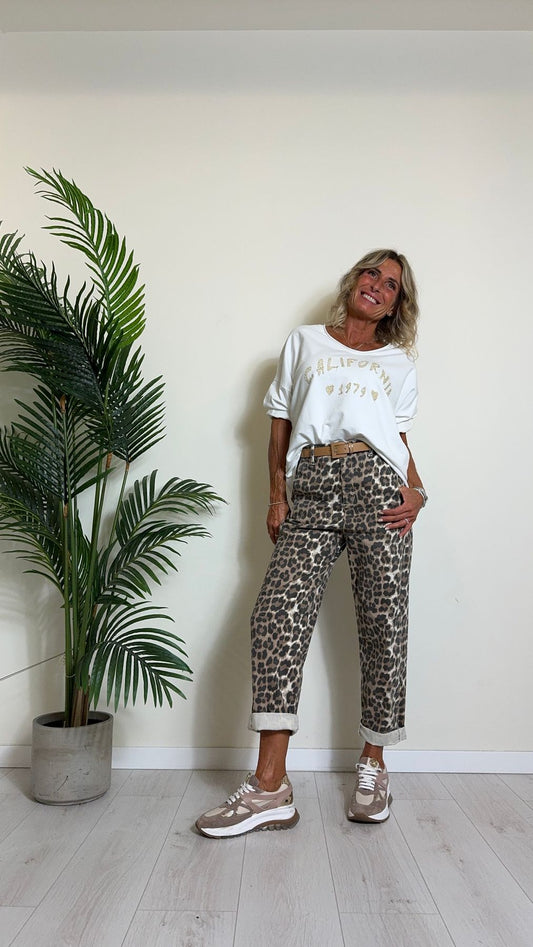 DAFNE - CT3294P8 - Cintura