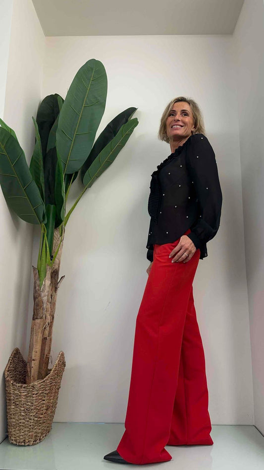 DAFNE - CHF6764P255 - BLUSA VOILE COLLO MICROPLISSEE, CRISTALLI INCASTONATI E COLLARINO FIORE